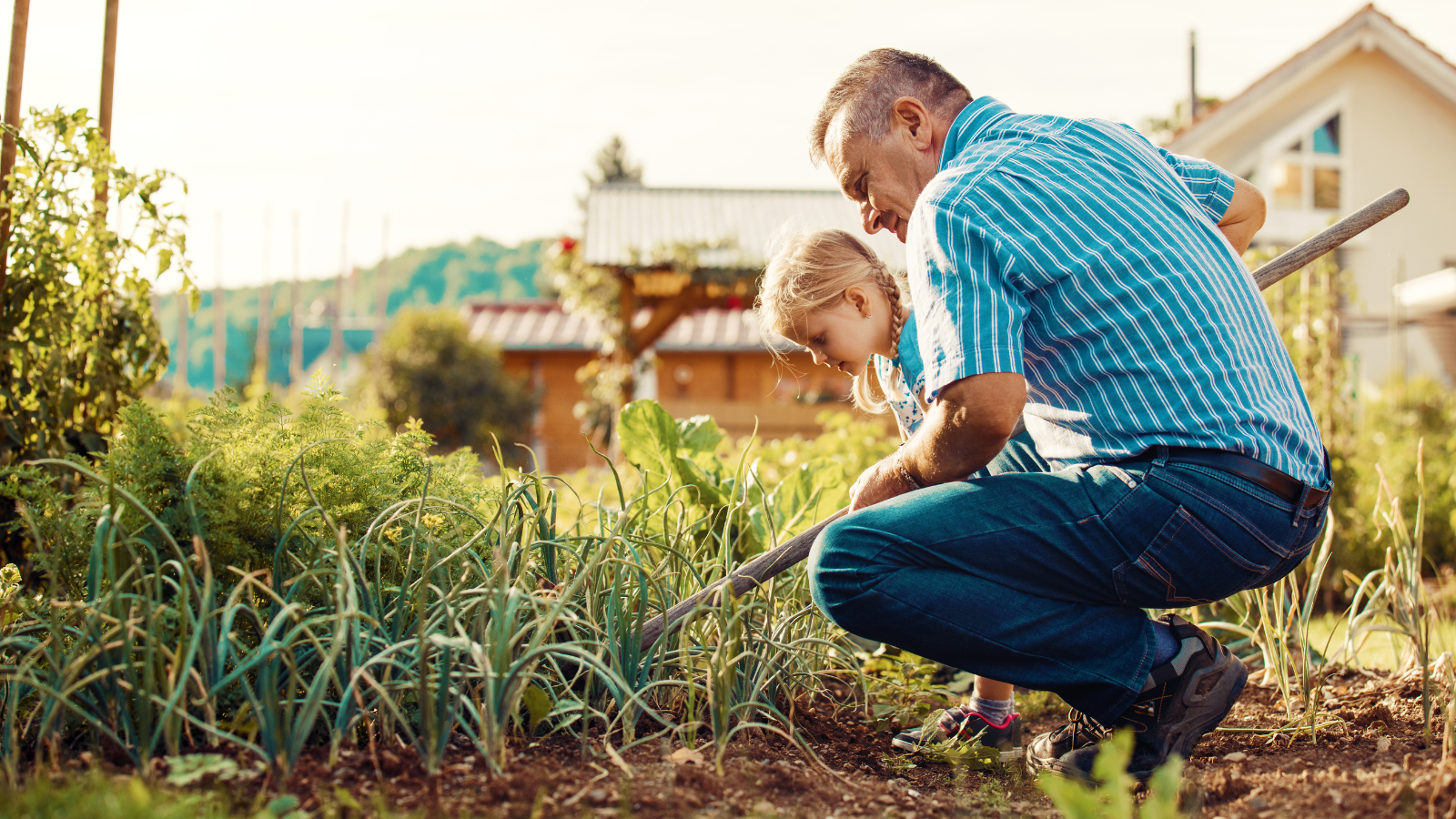 עיצוב גינה קטנה